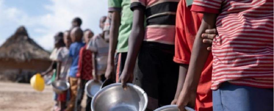 OMS: Más de dos millones de personas afrontan en Kenia inseguridad alimentaria por sequía