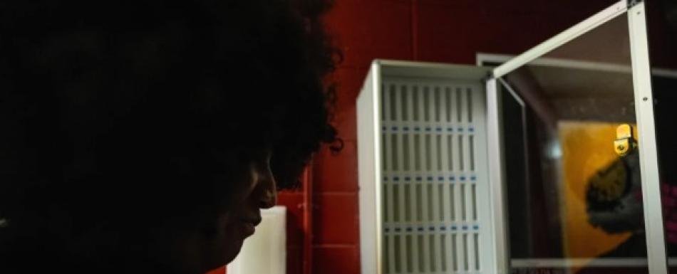 ¿Cómo abordar noticias angustiosas y encontrar mecanismos de afrontamiento? Esto dicen los expertos