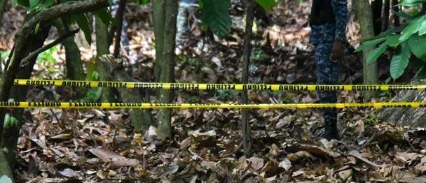 Dudan del origen de cortina hallada en búsqueda de Brianna