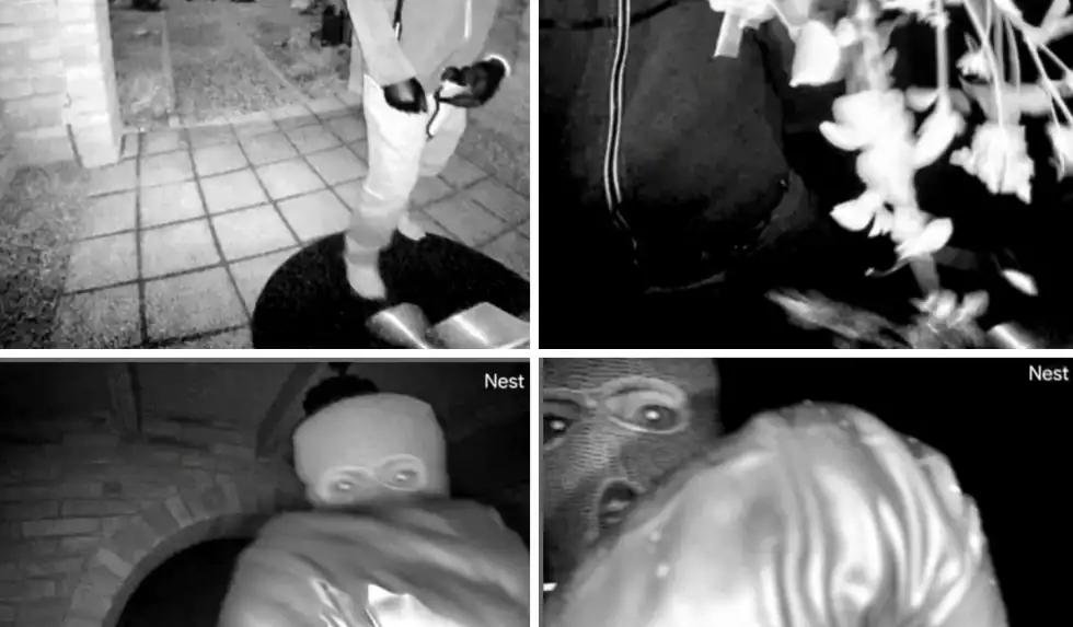 Investigan en Walmart mochila vinculada a desaparición de Nancy Guthrie en Arizona