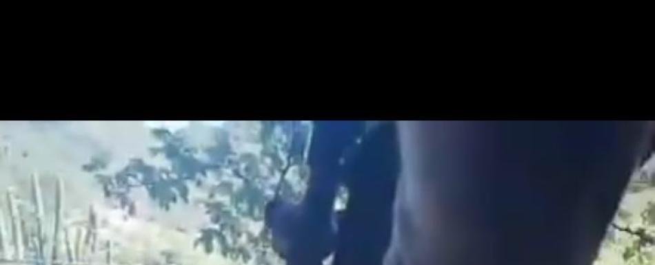 Apresan hombre en Baní por incurrir en maltrato animal en contra de perros callejeros