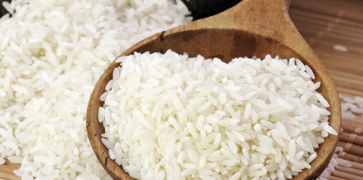 Gobierno de RD: el arroz es tema de seguridad nacional