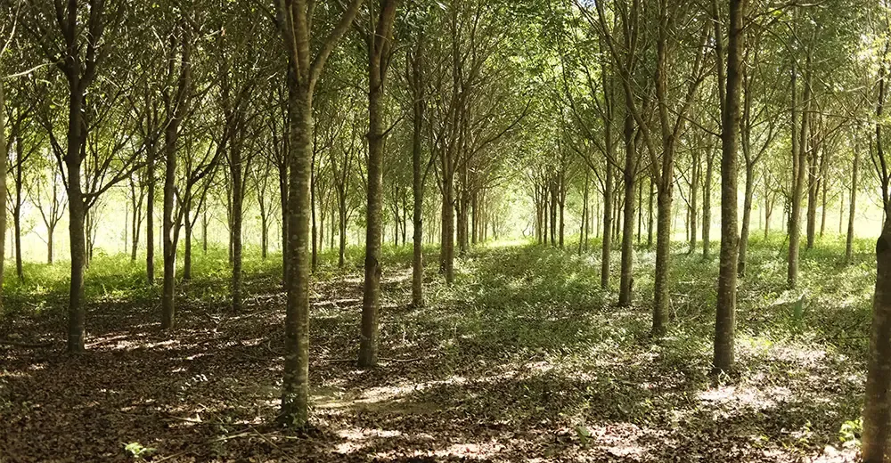 Camipe propone fortalecer la remediación ambiental