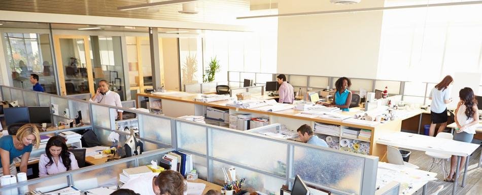 Total de ocupados en el mercado laboral dominicano suman 5,168,878 personas en edad de trabajar