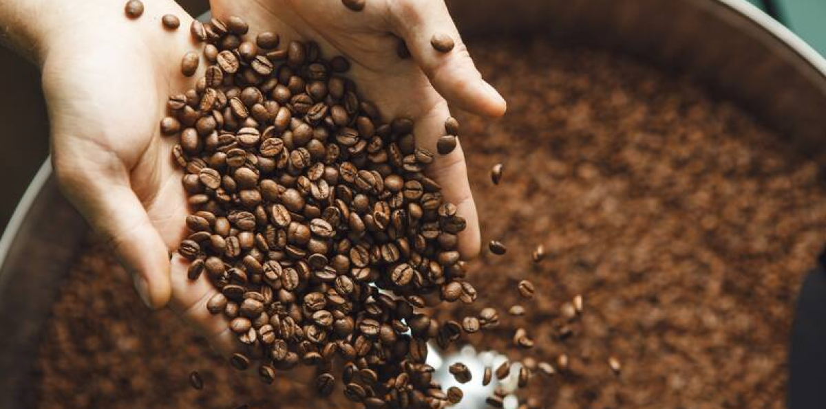 ¿Cuándo y por qué el café fue ilegal? Historia y contexto