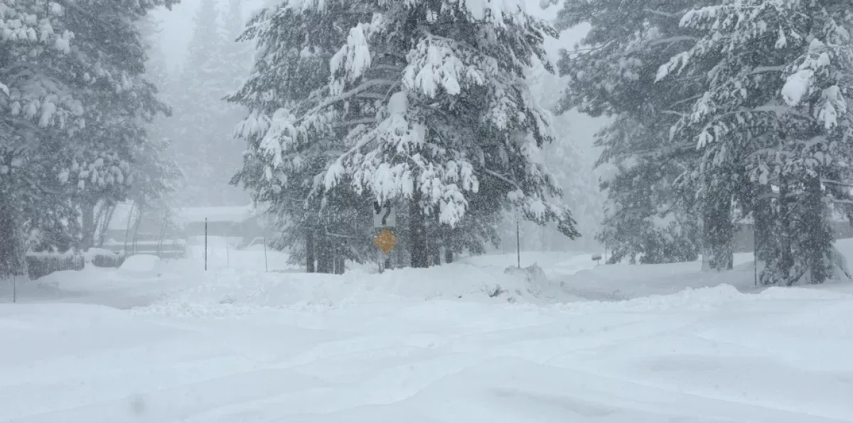 Avalancha en California: Hallan a 8 esquiadores muertos y uno sigue desaparecido en la Sierra Nevada