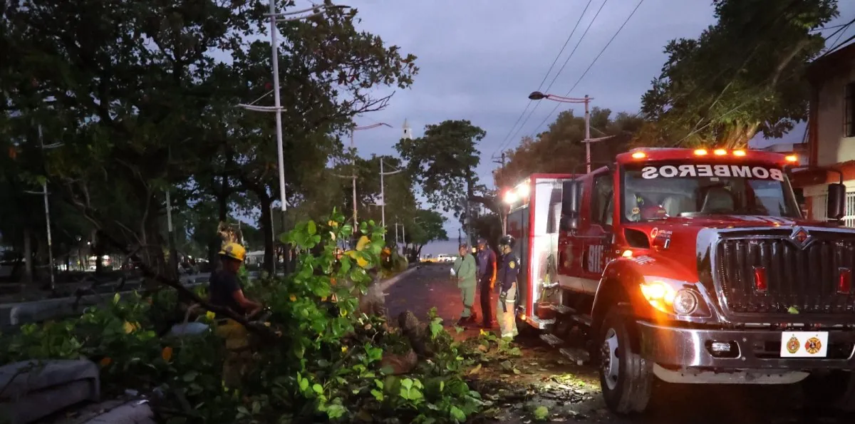 Lluvias y vientos derriban árboles y postes eléctricos, dejando varias vías bloqueadas en el GSD: conozca por dónde transitar