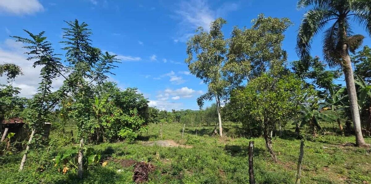 Nazario Mercedes: el recuerdo de un "monstruo" que aún persiste en Hato Viejo