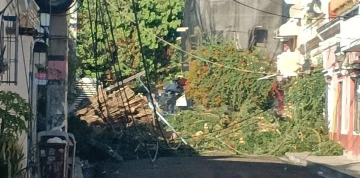 Árbol cae por las lluvias en la Ciudad Colonial y bloquea el tránsito