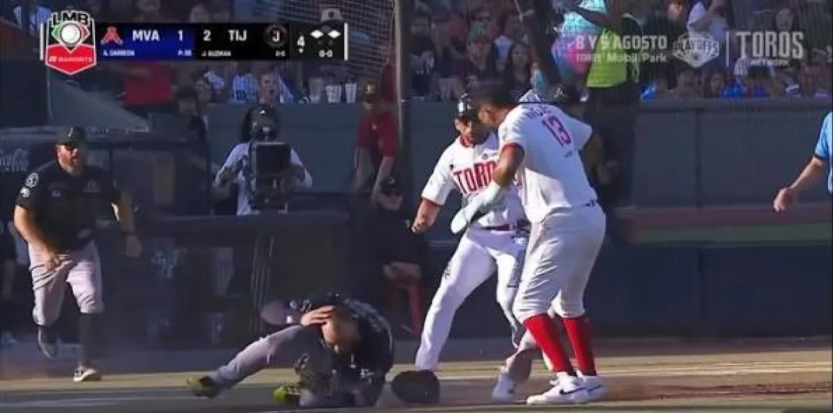 Dany Vásquez protagoniza violenta pelea durante juego entre Toros y Acereros: estas son las consecuencias que enfrentará