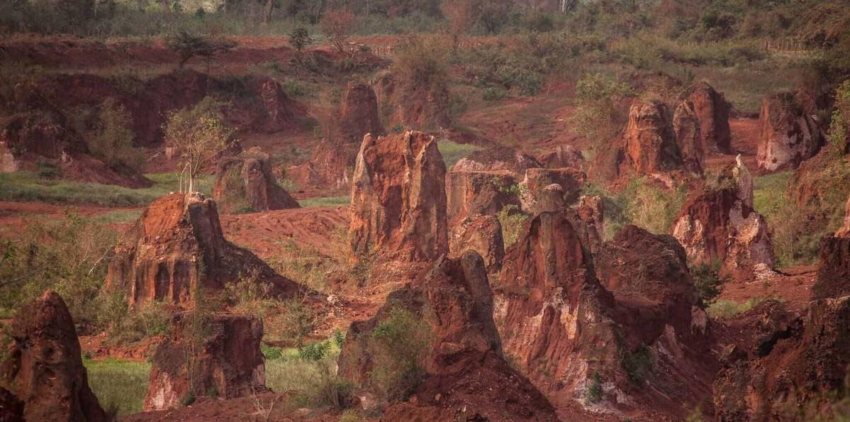 A confesión de partes, relevo de pruebas