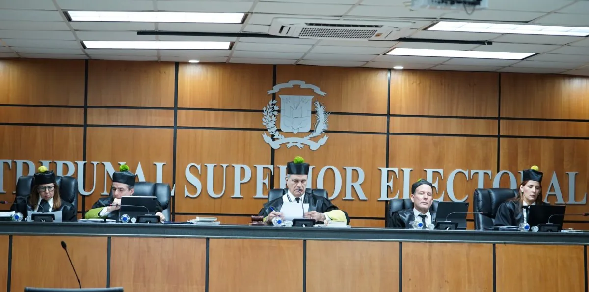 TSE deja en fallo reservado demanda contra resolución del PLD