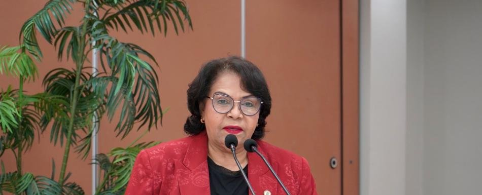 Cámara de Cuentas admite retrasos en auditorías de instituciones envueltas en casos de corrupción