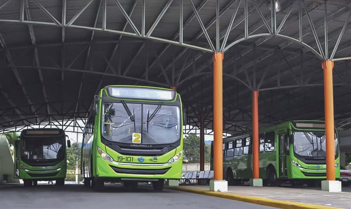 A la OMSA le pusieron la reversa y se le trancó la transmisión