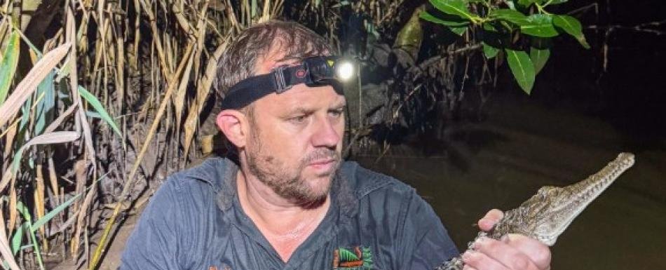 Capturan cocodrilo en un arroyo australiano a 1,200 millas de su hábitat tropical