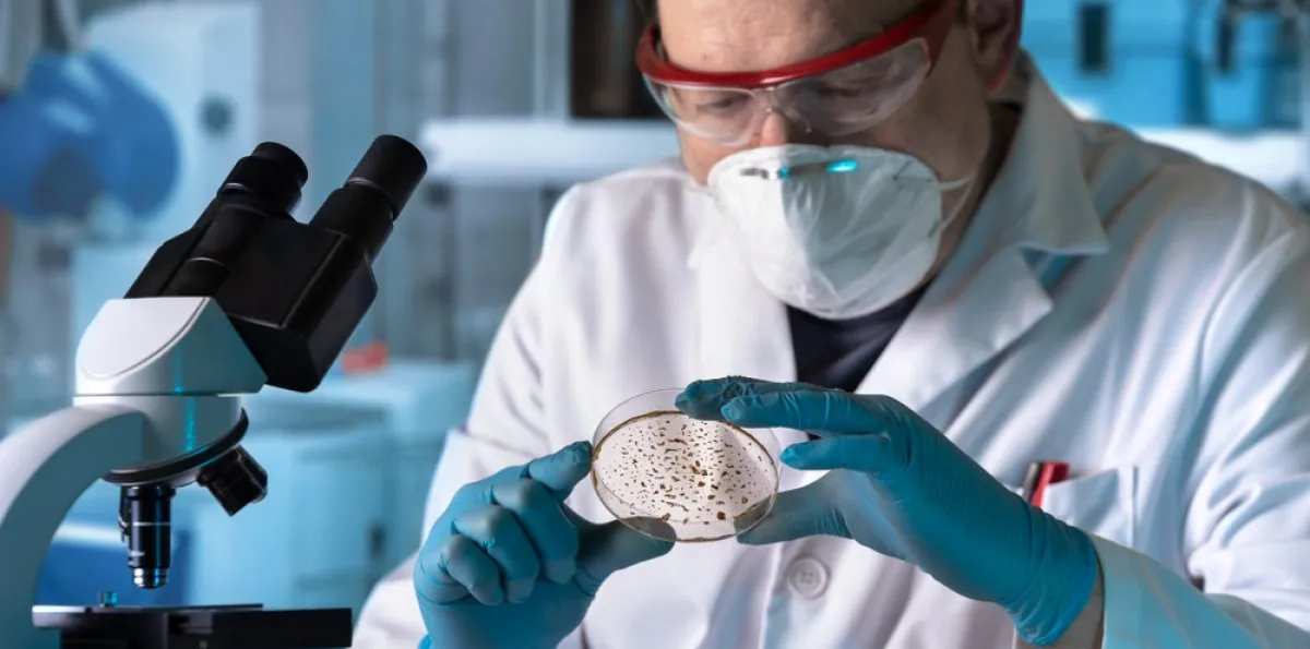 Descubren manikomicina, un antibiótico revolucionario contra bacterias resistentes a medicamentos