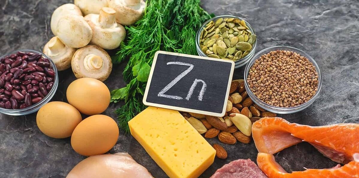Zinc, disbiosis y SIBO: una relación que no debemos ignorar