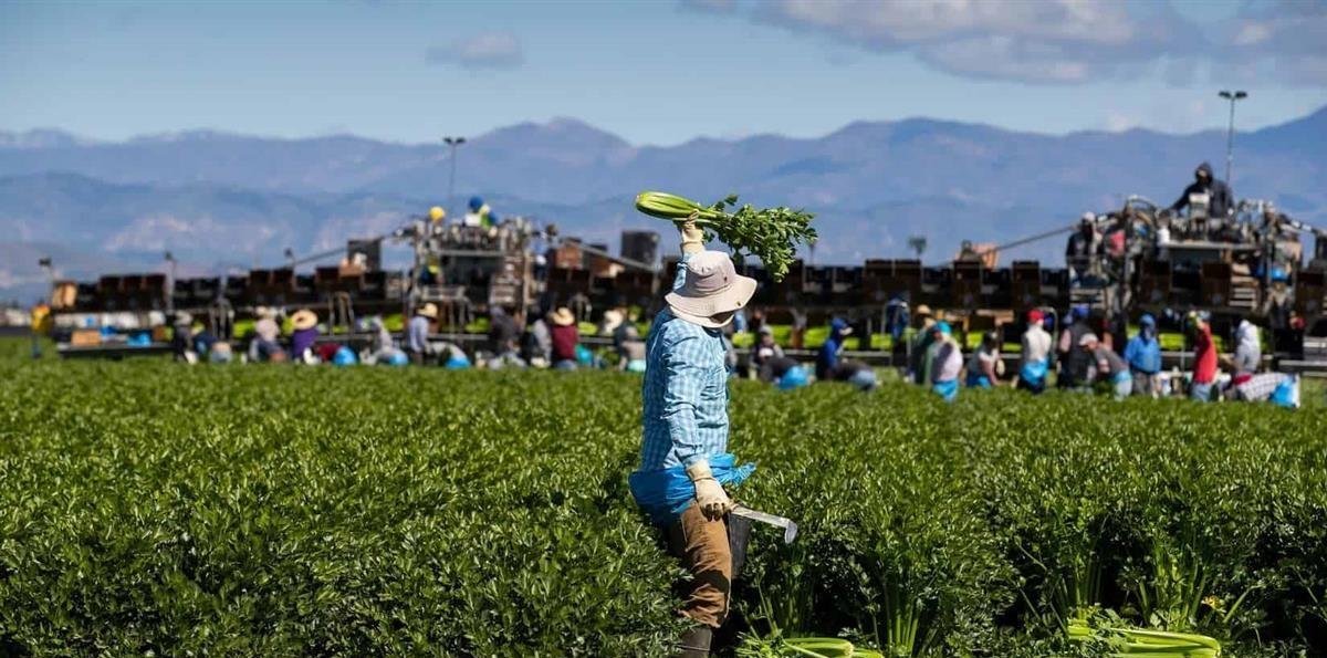 FAO: El cambio climático amenaza con frenar la lucha contra el hambre en Latinoamérica