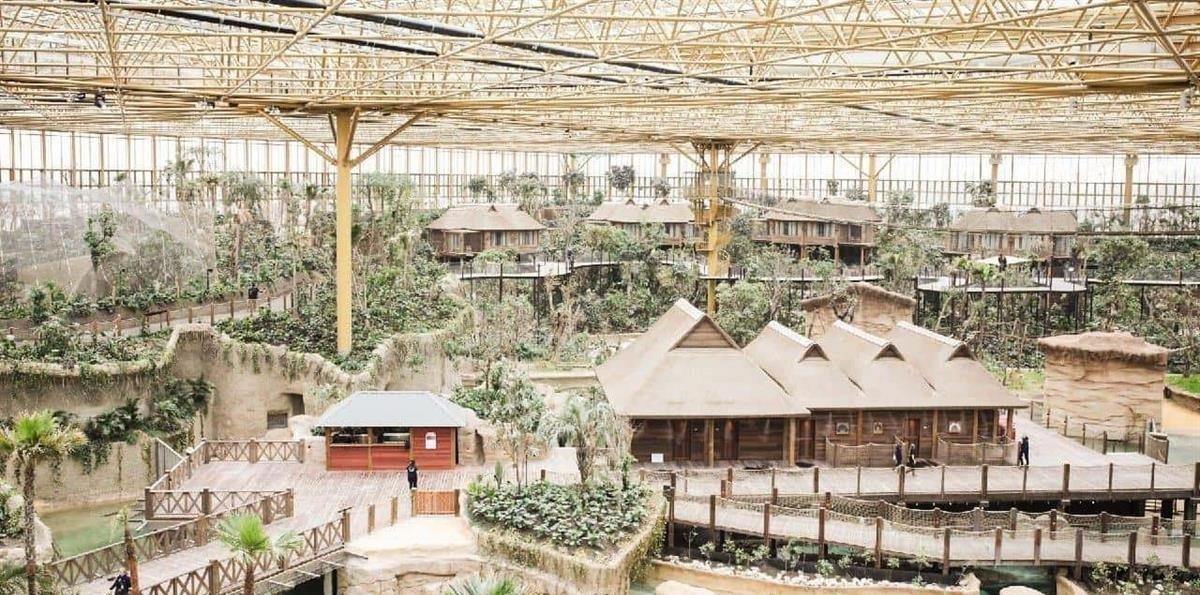 Una selva bajo cristal: abre el mayor invernadero tropical del mundo con hotel subacuático