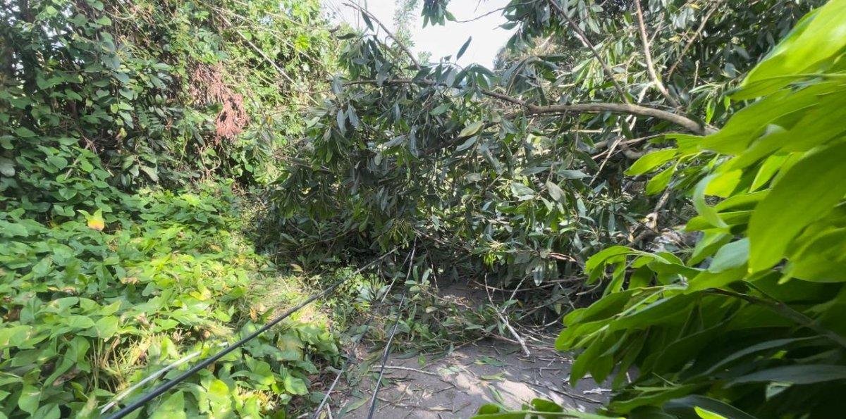 Protesta provoca interrupción del servicio de energía eléctrica en Peralvillo