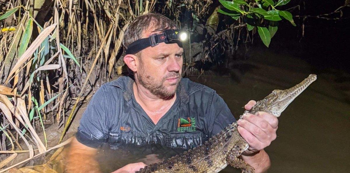 No le creyó a su hijo cuando le dijo que un cocodrilo andaba cerca de su casa y esto pasó