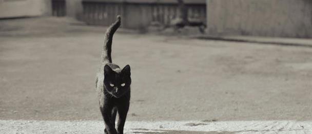 Atención a los brujeros: 2026 viene con dos martes 13 y tres viernes 13