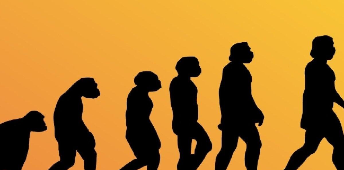 Día de Darwin: quién fue y por qué su teoría cambió la ciencia