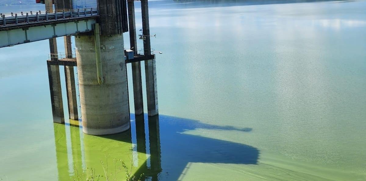 Presa de Hatillo: qué está pasando con la contaminación y cómo afecta a la población