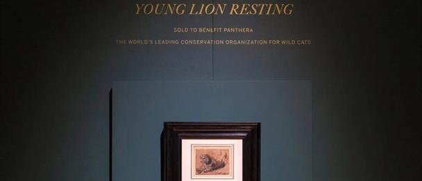 La subasta de un dibujo de Rembrandt recauda 17,8 millones de dólares