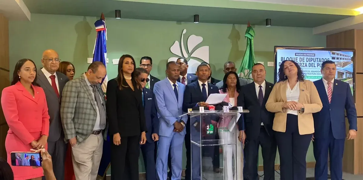Diputados FP piden interpelar a titular Educación