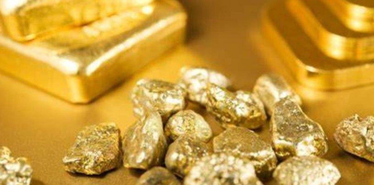 DGII dice recaudo impuesto aumenta 11.0 % en enero 2026