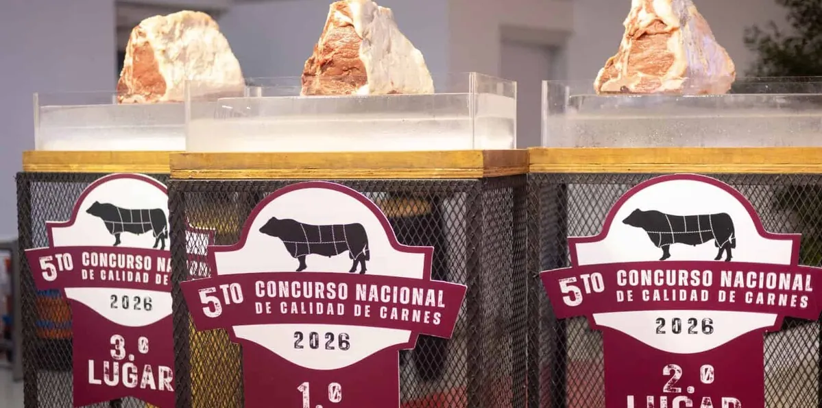 Carne prémium: una gran oportunidad para los productores de ganados