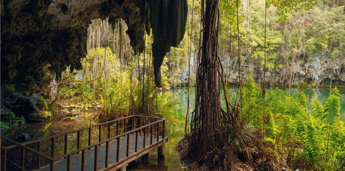 Guía: 5 formas de proteger la naturaleza dominicana hoy