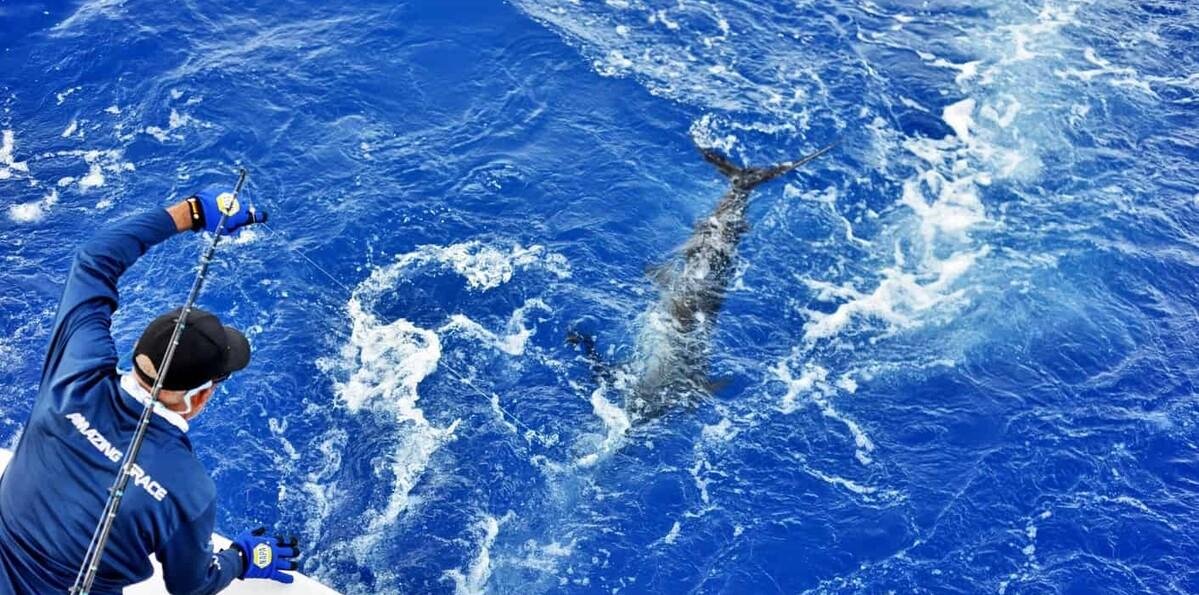 Pesca deportiva en RD: el turismo de élite que impulsa la inversión y el desarrollo inmobiliario