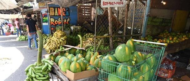 Reformas estructurales, la única forma de reducir la informalidad