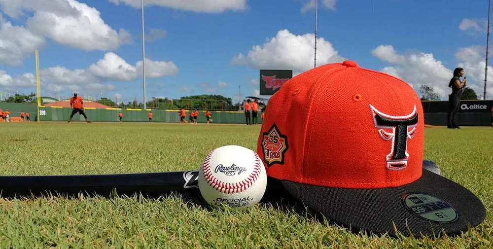 Pitchers Aaron Sánchez y Carlos Rodríguez regresan a los Toros