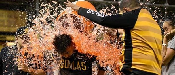 Tabla de posiciones Lidom y resultados del round robin: Toros y Águilas a dos de leones