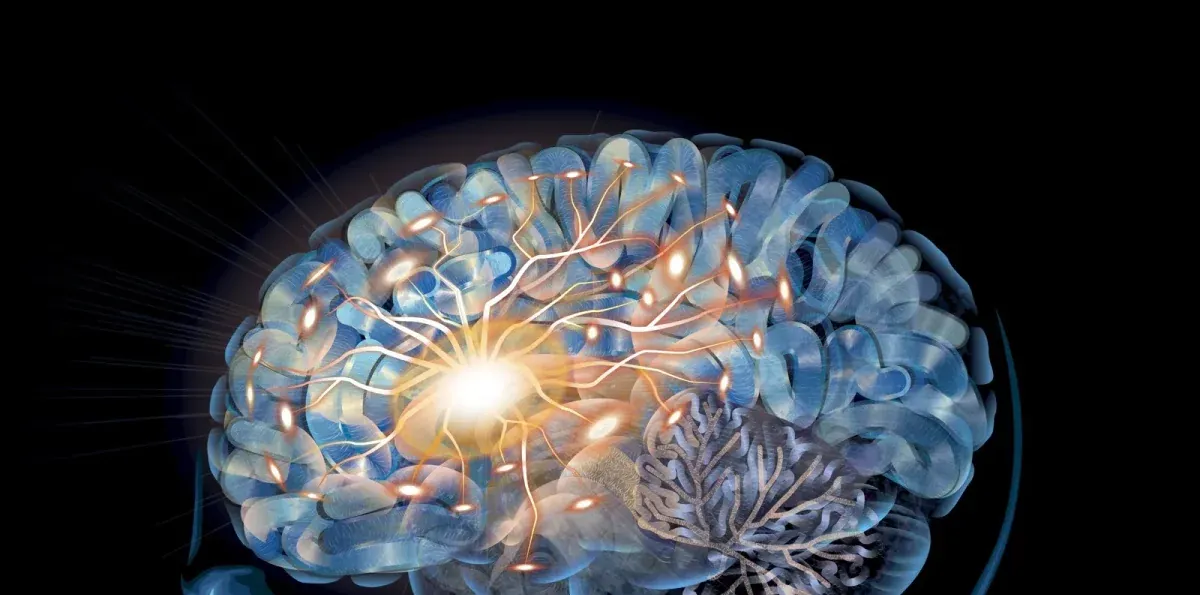 De cerebros y feminicidas