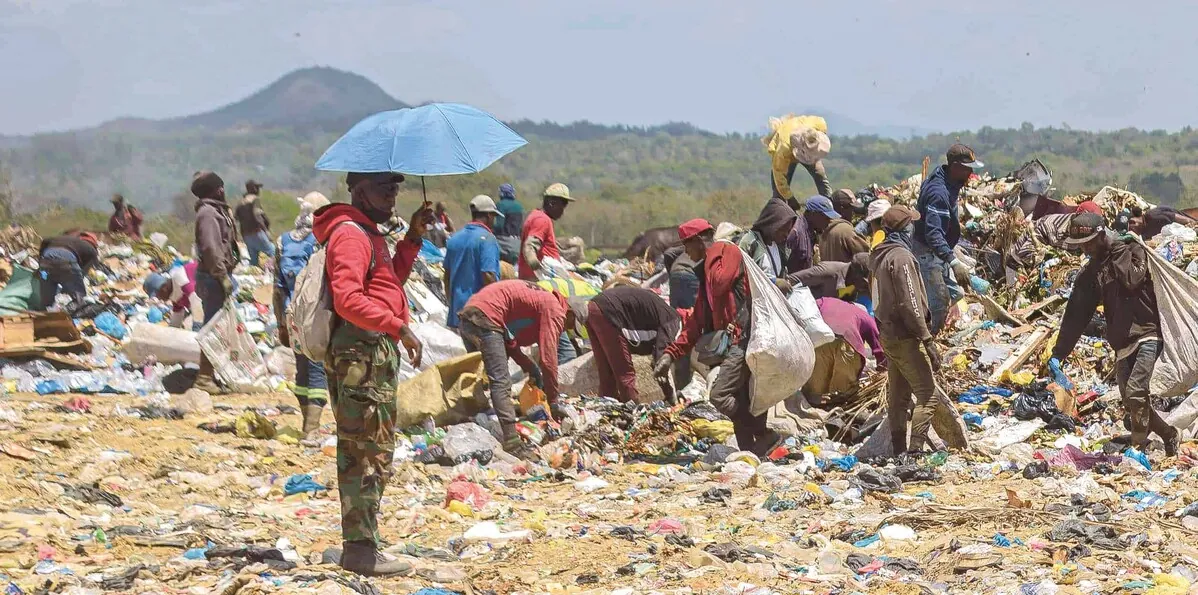 Ayuntamientos deben formalizar a buzos recolectores