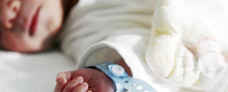 Cinco bebés hospitalizados en España por productos de nutrición contaminados con cereulida