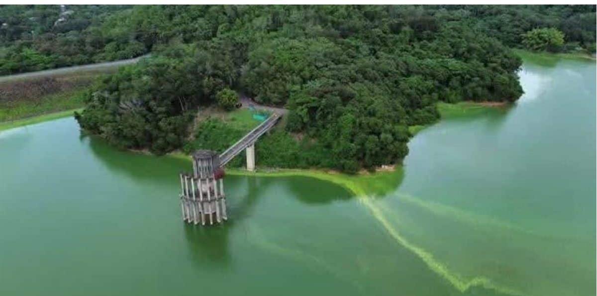 Contaminación en la presa de Hatillo: estudio alerta sobre los riesgos para la salud y el ecosistema