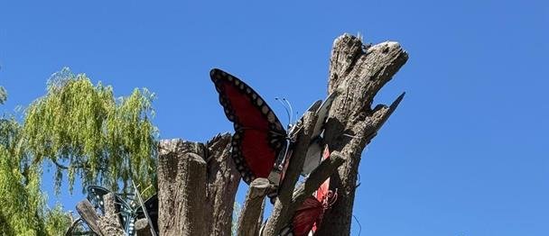 Patagonia: la escala, el polvo, el agua que falta, el viento que embiste