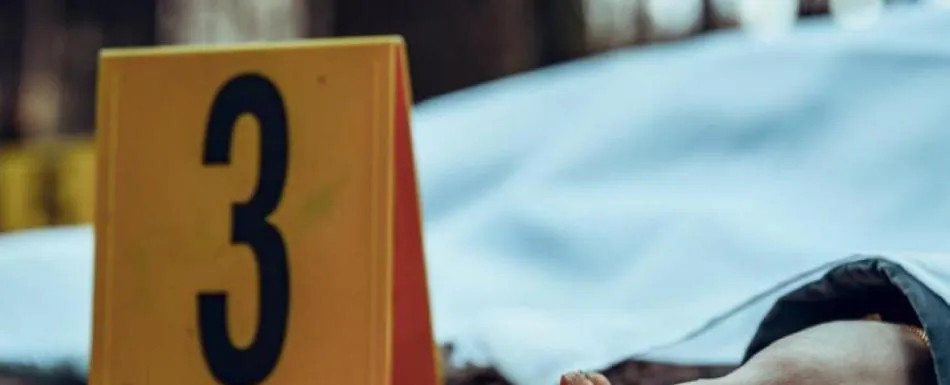 Inseguridad, menos sustancia gris y carencias familiares: Principal perfil de un feminicida