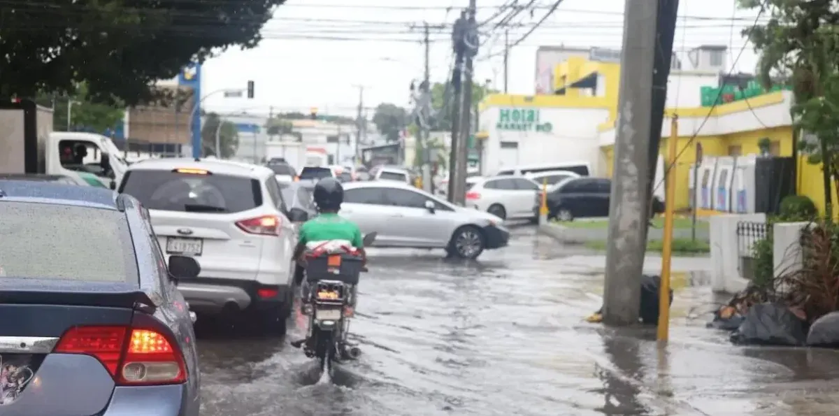 Mapa actualizado: las provincias bajo alerta y el motivo