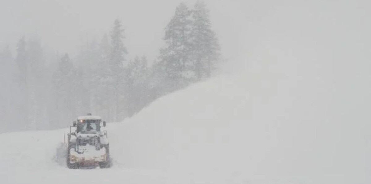 Condiciones climáticas impiden rescate de los 8 esquiadores muertos en avalancha en EE. UU.