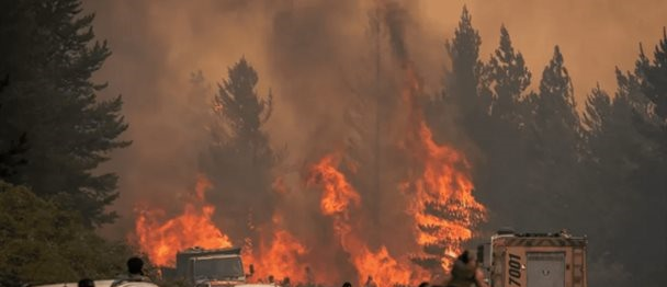 Incendios forestales arrasan más de 15,000 hectáreas en la Patagonia argentina