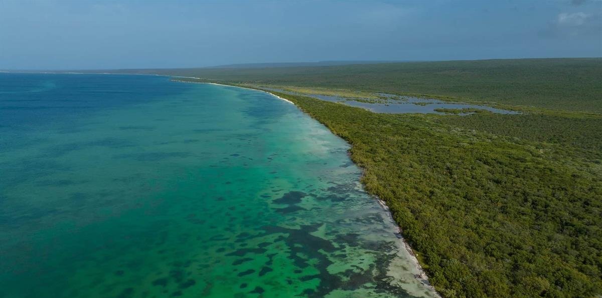 Sentencia del TSA ordena la reducción del Parque Nacional Jaragua