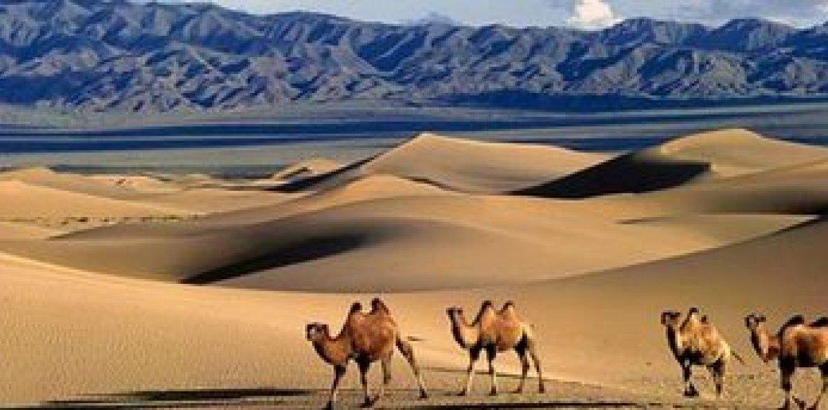 Mongolia: El destino que no sabías que necesitabas