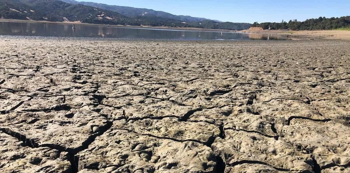 EE. UU. advierte de la expansión de "sequía extrema" en Florida en medio de alerta en Miami