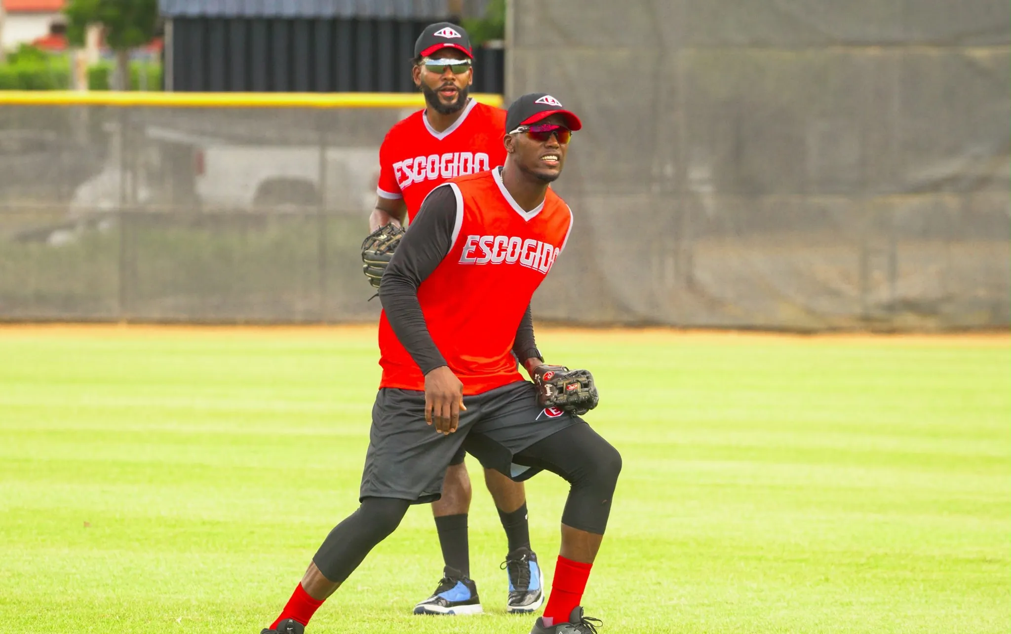 Leones adquieren Amed Rosario en cambio con Tigres del Licey